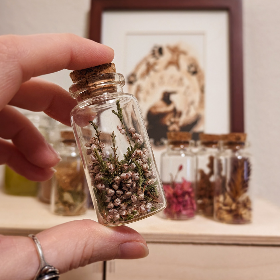 Green Witchery & Herbalism - Jars of Herbs