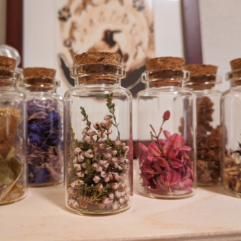 Green Witchery & Herbalism - Jars of Herbs on a Shelf