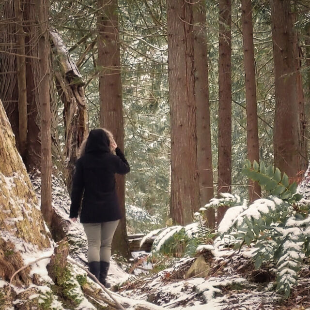 ❄️🤍 Snow-kissed moments in the heart of Winter's Wonderland. 

Seeking inspiration in the enchanted woods, where every snowflake tells a story...🌲💫

#WinterWonderland #NatureInspiration #SnowyEscape #PacificNorthwest #PNW #PNWArt #PNWArtist #WashingtonArtist #ArtWitch #ForestWitch #HedgeWitch #GreenWitch